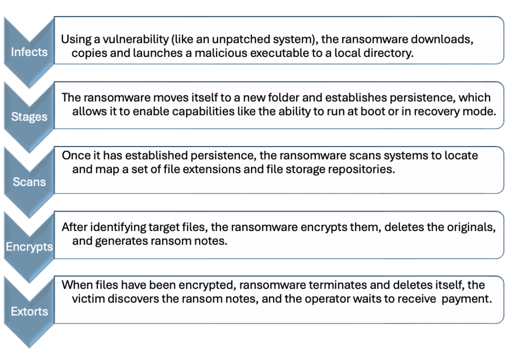 The steps of ransomware • Infects: Using a vulnerability (like an unpatched system), the ransomware downloads, copies and launches a malicious executable to a local directory. • Stages: The ransomware moves itself to a new folder and establishes persistence, which allows it to enable capabilities like the ability to run at boot or in recovery mode. • Scans: Once it has established persistence, the ransomware scans systems to locate and map a set of file extensions and file storage repositories. • Encrypts: After identifying target files, the ransomware encrypts them, deletes the originals, and generates ransom notes. • Extorts: When the files have been encrypted, the ransomware terminates and deletes itself, the victim discovers the ransom notes, and the operator waits to receive the ransom payment.