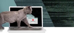 Cat walking across laptop keyboard triggering system error messages on screen